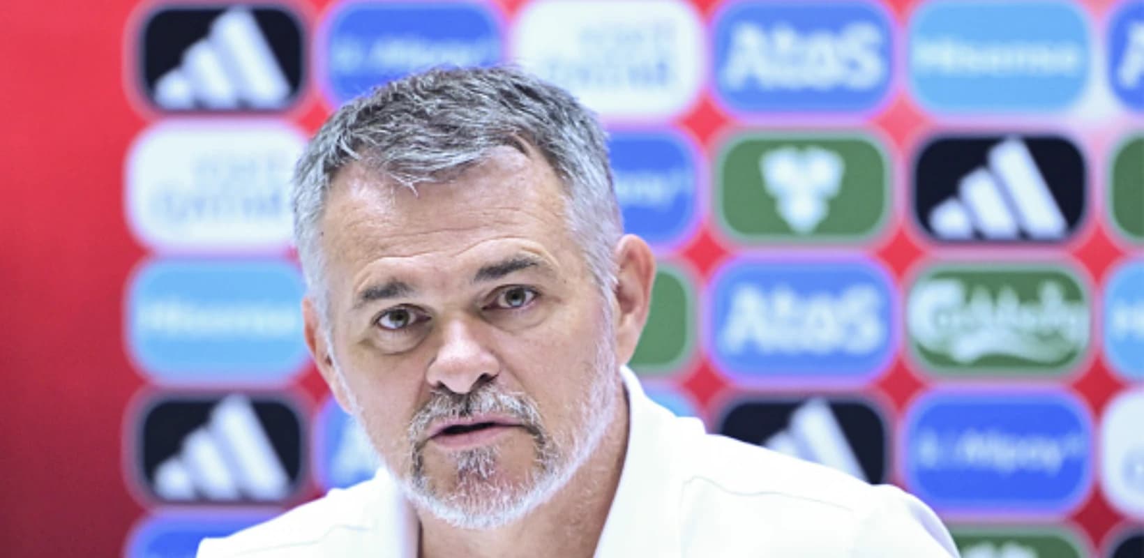 "სამუშაო კიდევ ბევრი გვაქვს", - სანიოლი ლიეტუვასთან მოგების შემდეგ