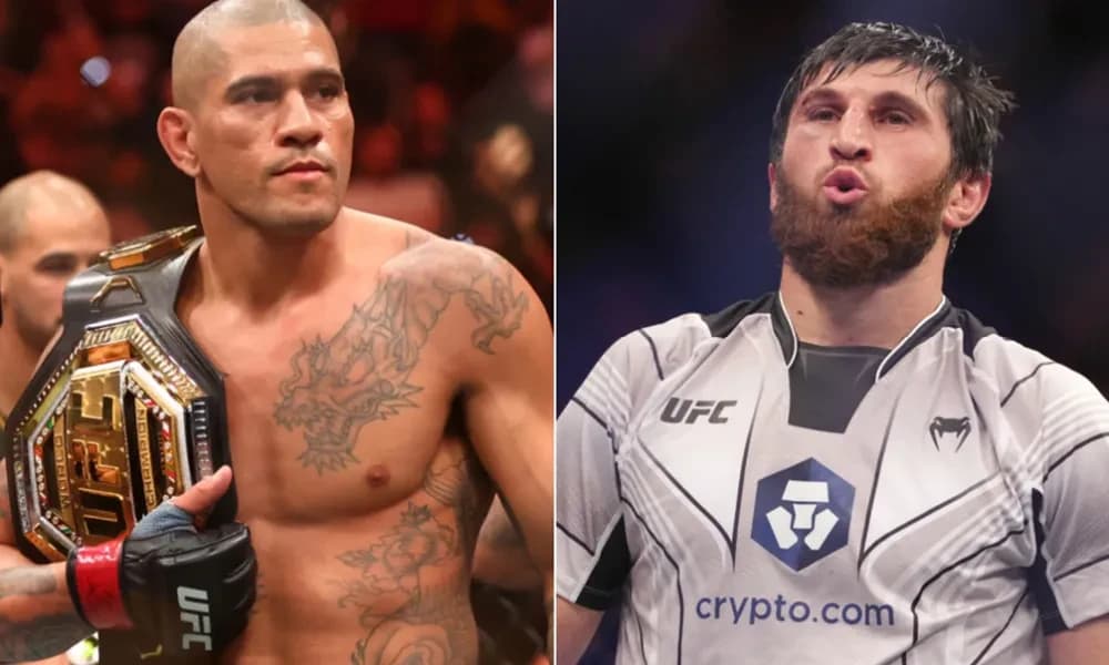 UFC 313-ის პოტენციური ორთაბრძოლები