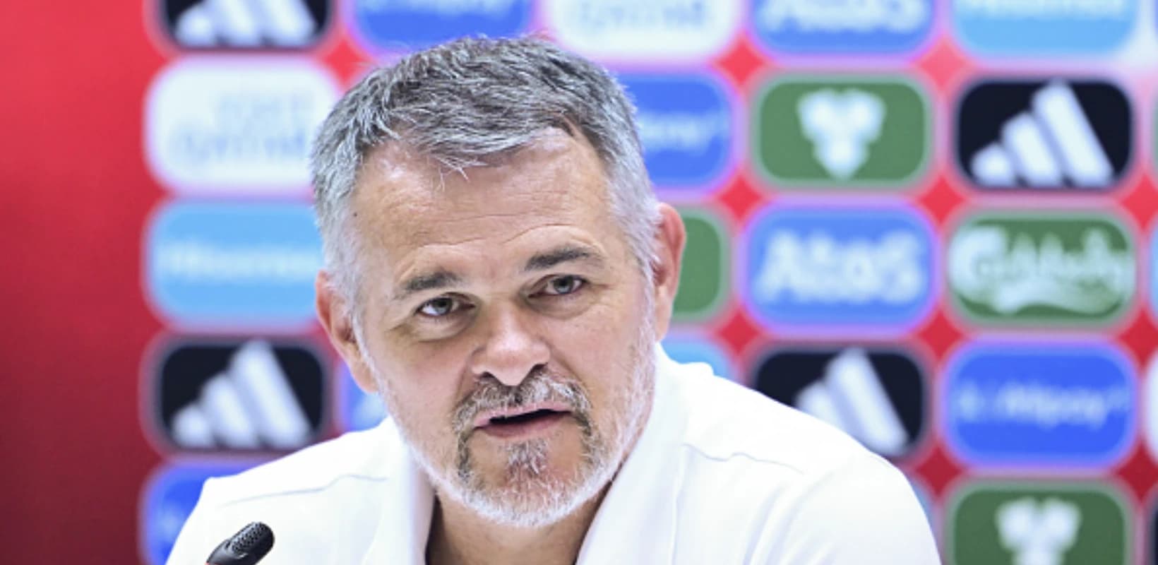 ნაკრების შანსებზე, მიქაუტაძეზე და დაცვით ხაზზე - ვილი სანიოლის პრესკონფერენცია